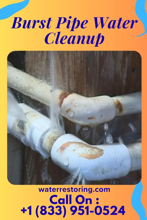 Burst Pipe Water Cleanup in Wildewood, MD