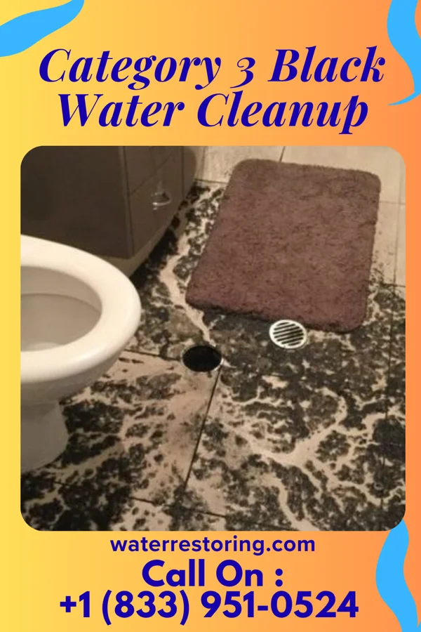 Category 3 Black Water Cleanup in Wildewood, MD