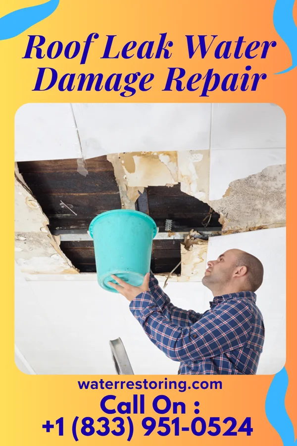 Roof Leak Water Damage Repair in Wildewood, MD