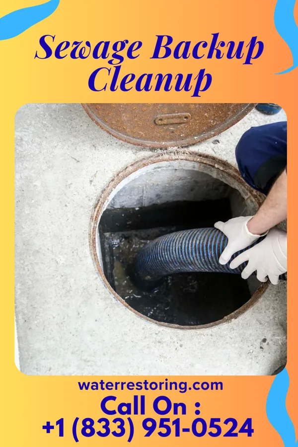 Sewage Backup Cleanup in Wildewood, MD