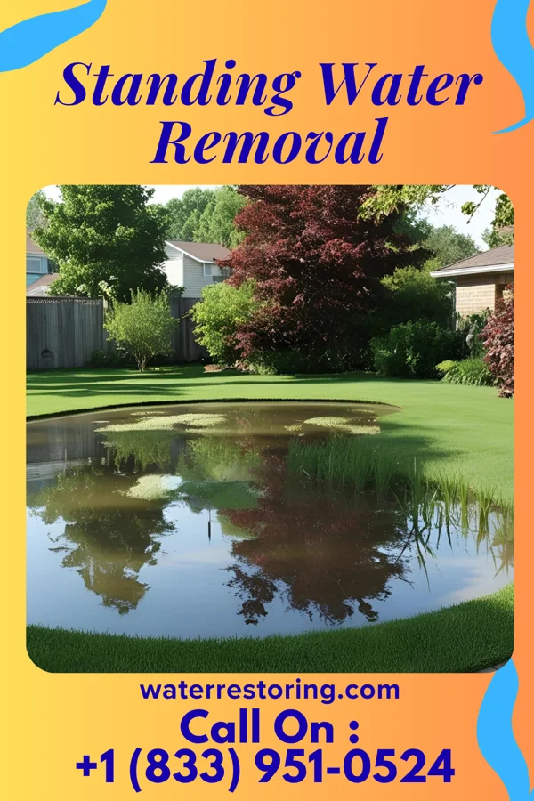 Standing Water Removal in Wildewood, MD